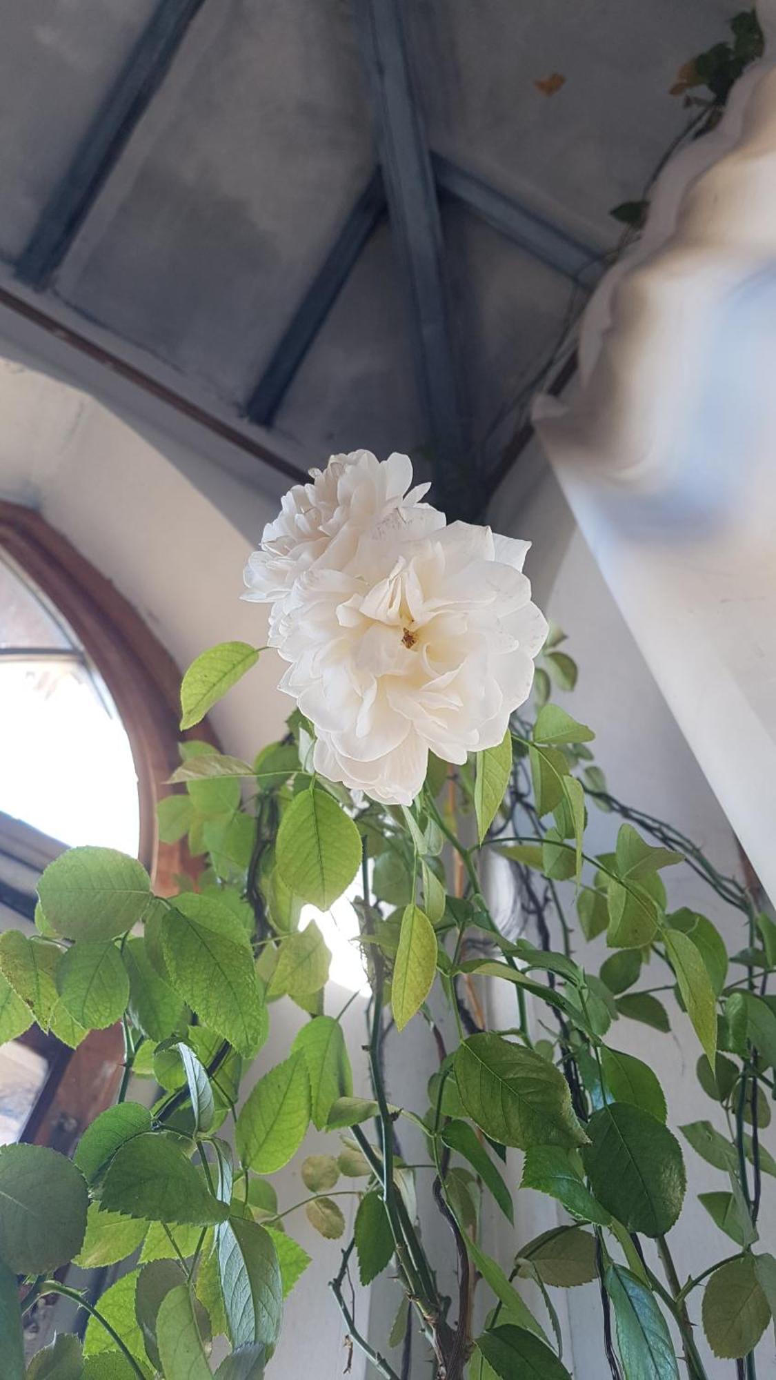 La Torre Di Pieve 호텔 피에베산토스테파노 외부 사진